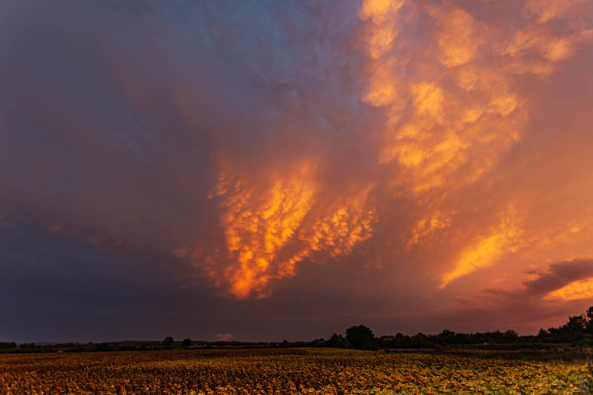 Mammatus au couchant