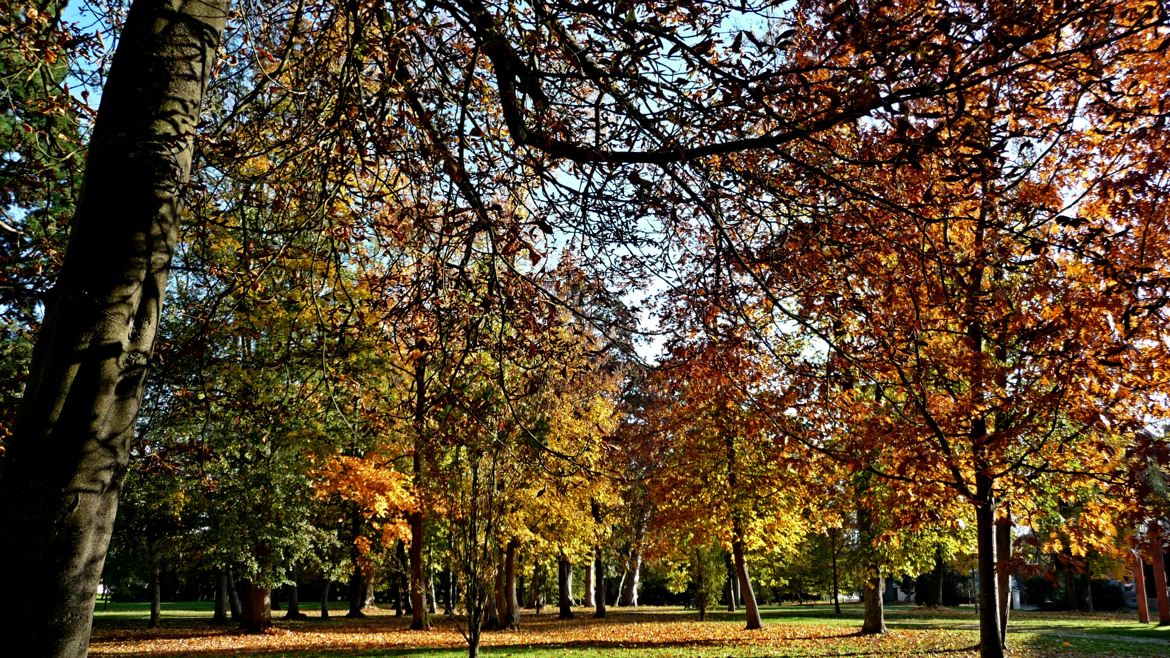 quel bel automne