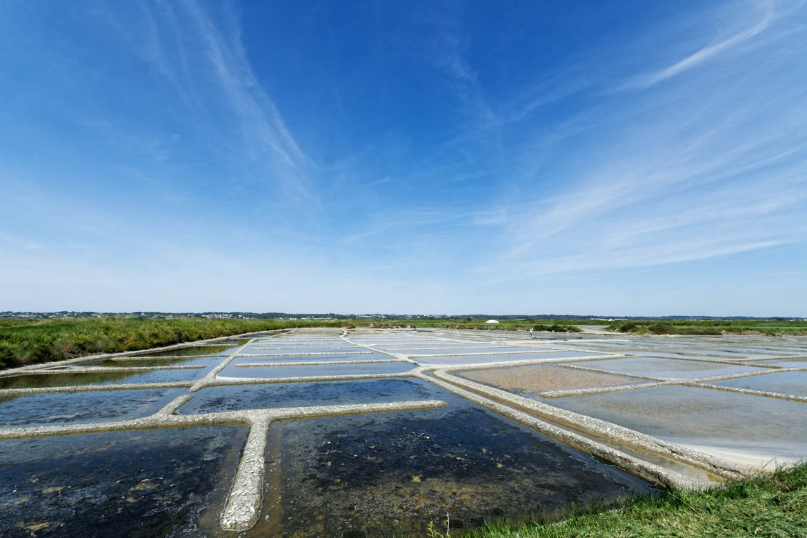 Marais Salants