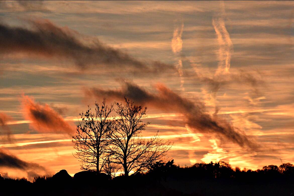 Ciel de folie