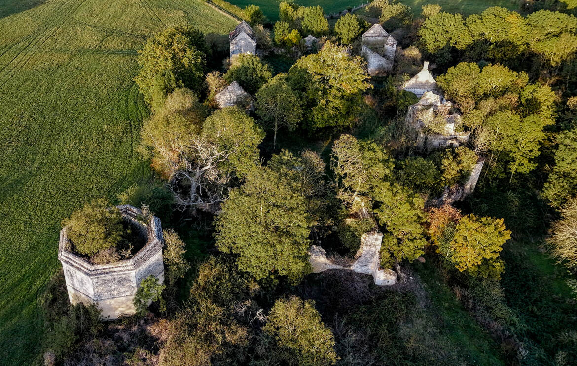 ruines sylvestres (2)