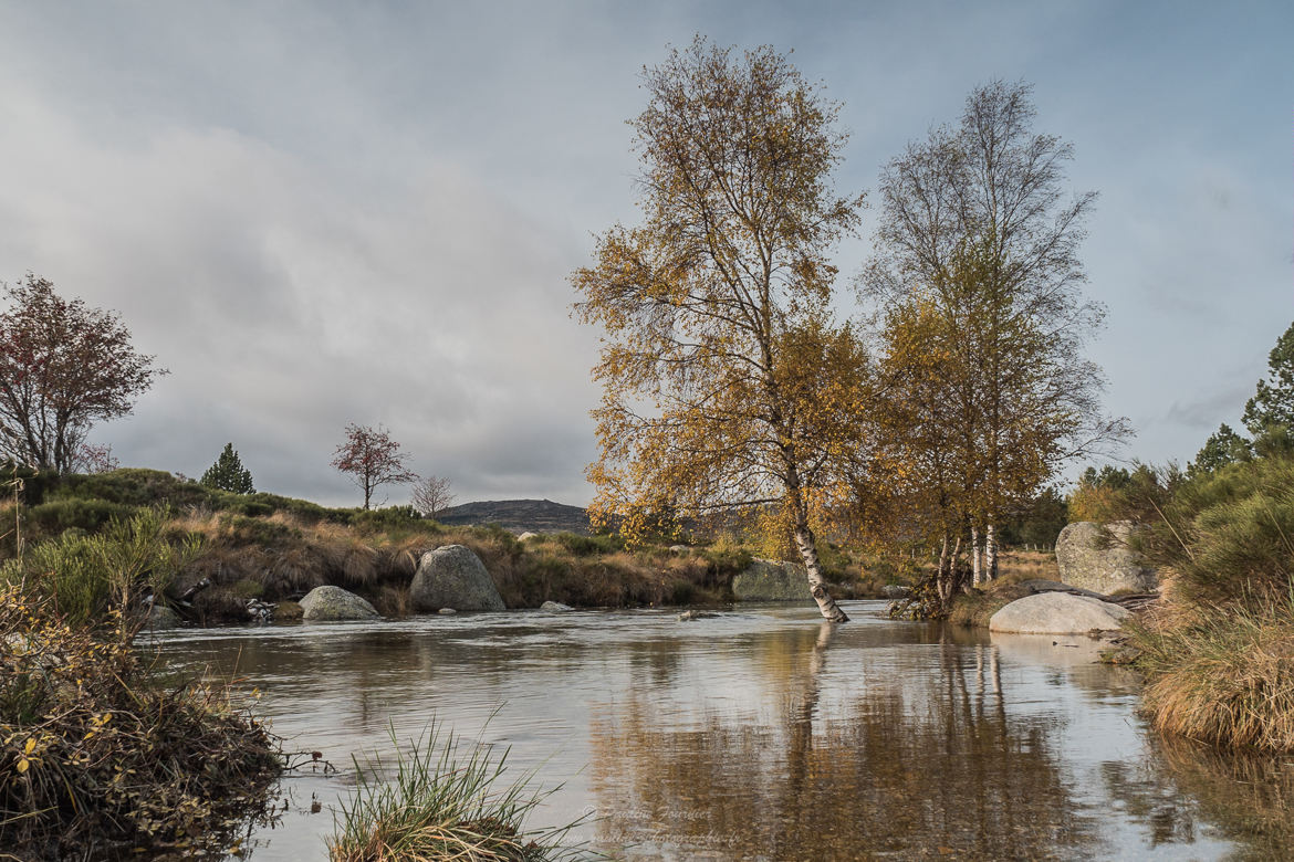 Un automne en Lozère