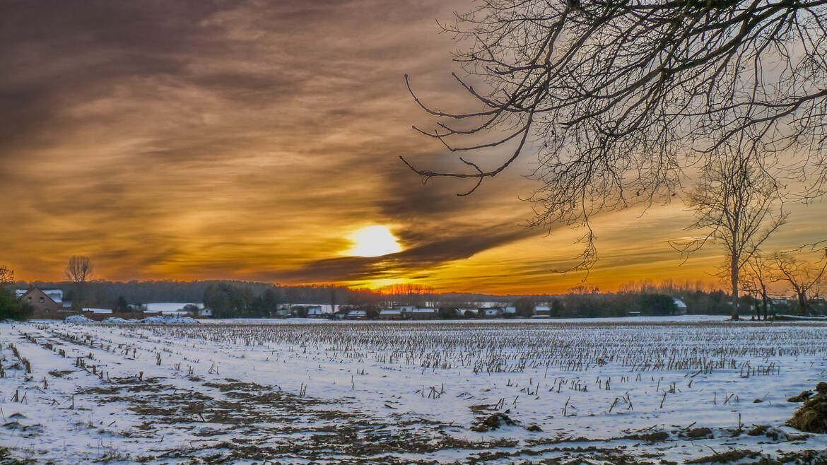 Fin de journée hivernale