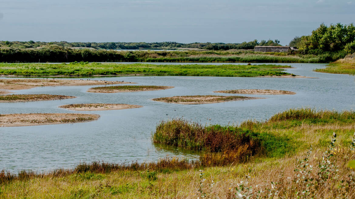Parc du Marquenterre
