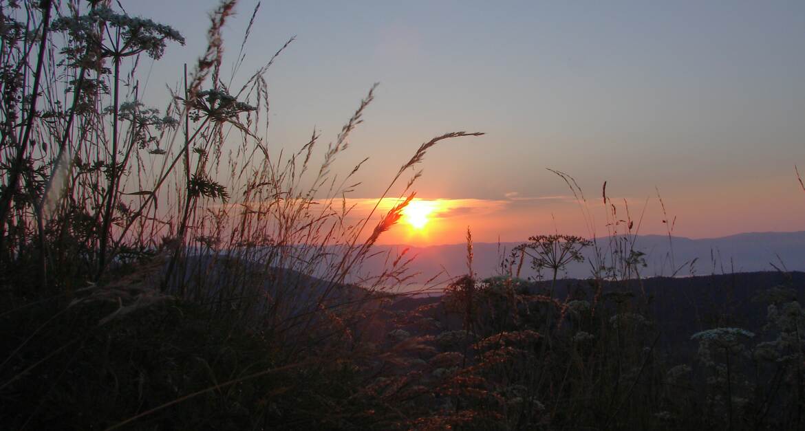 En attendant le coucher de soleil