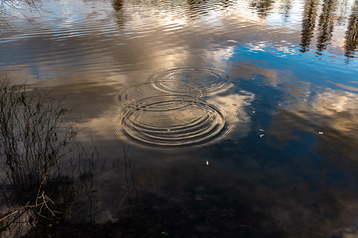 faire des ronds dans l'eau