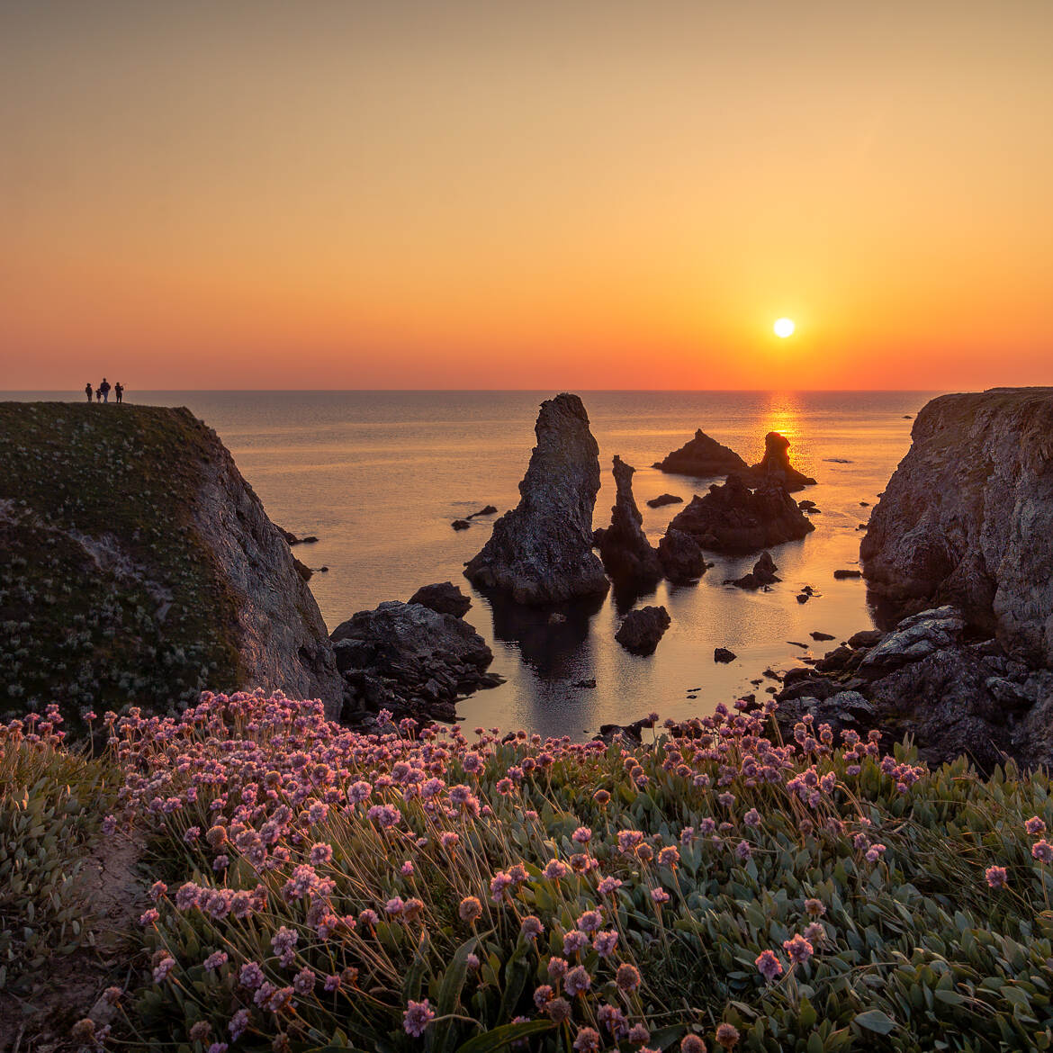 L'Aiguille Port Coton Belle Ile en Mer