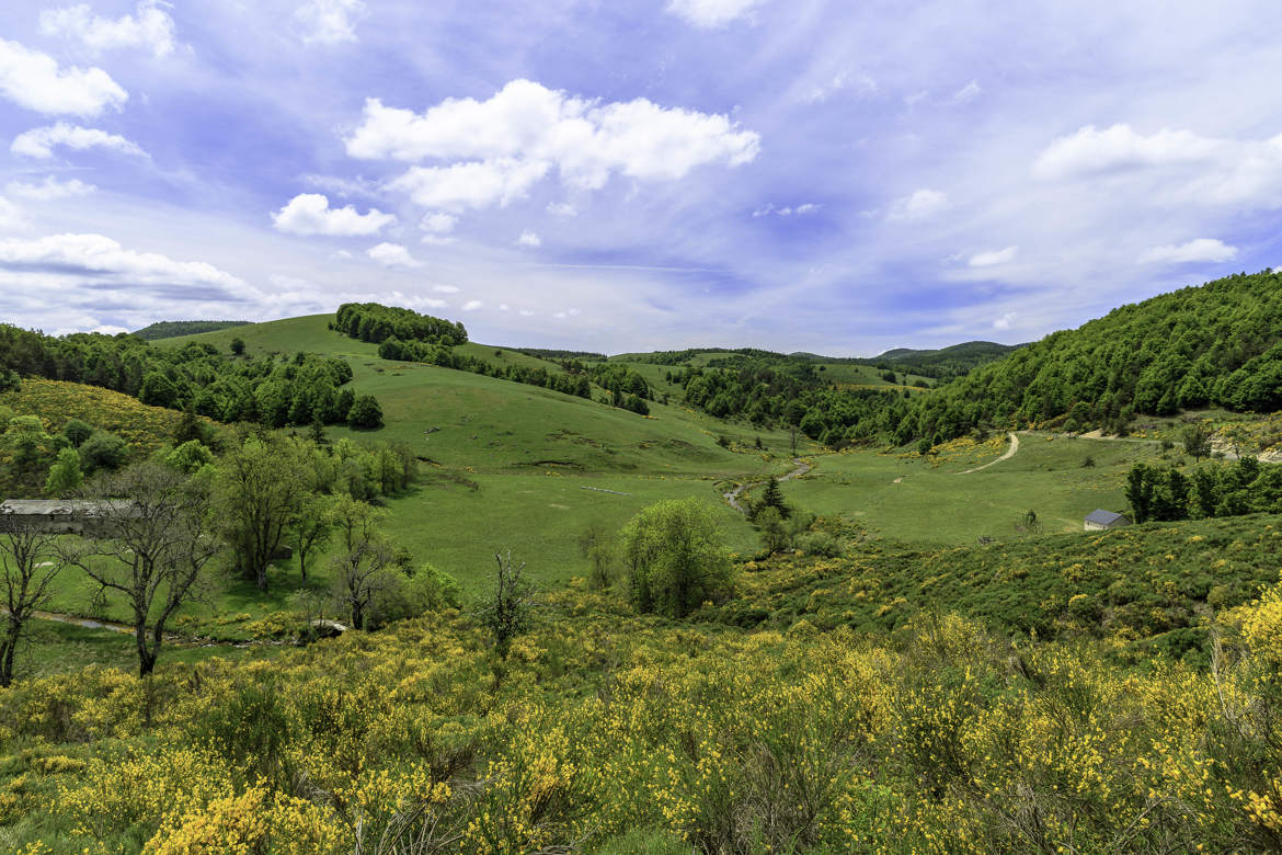 La vallée du Bonheur