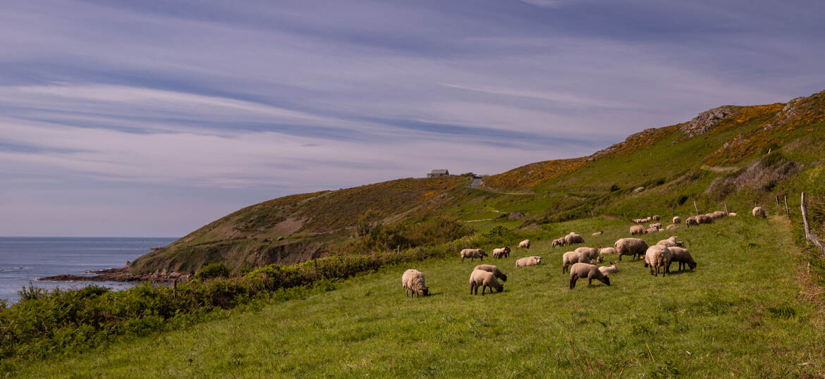 Sur un petit air Hirlandais