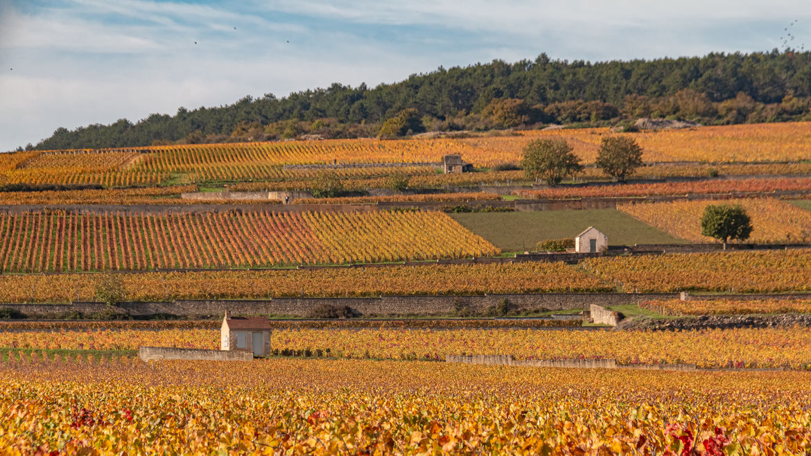 Coteau de Volnay