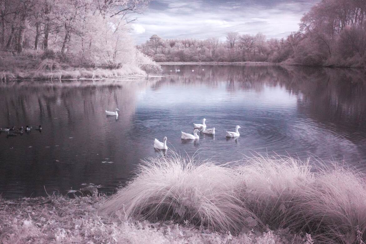 Le lac en infrarouge