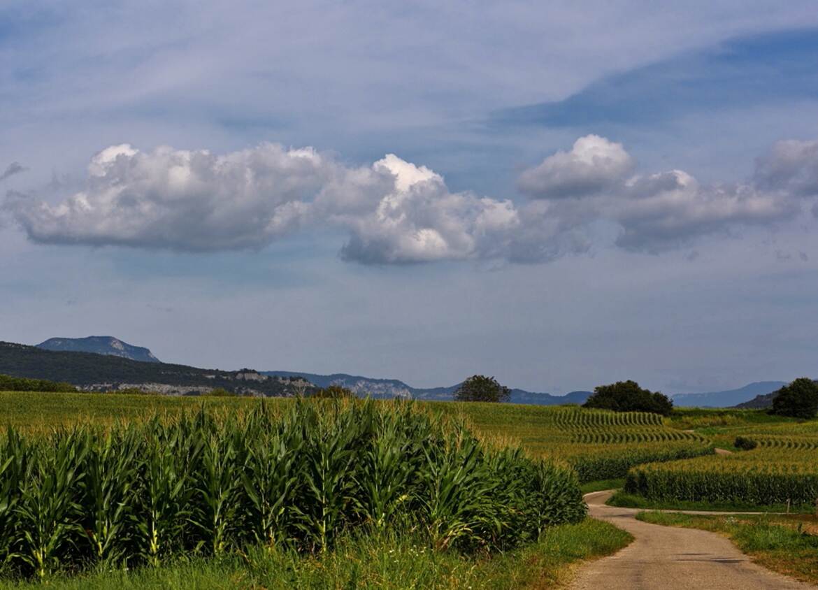 Courbes, lignes, ciel!