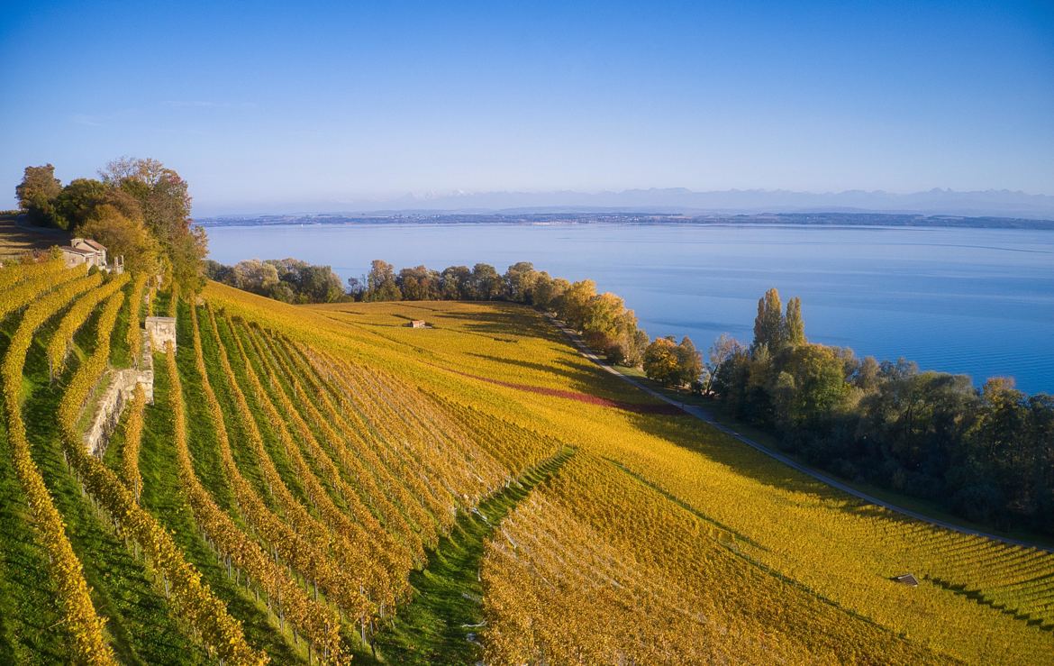 la Pointe du Grain