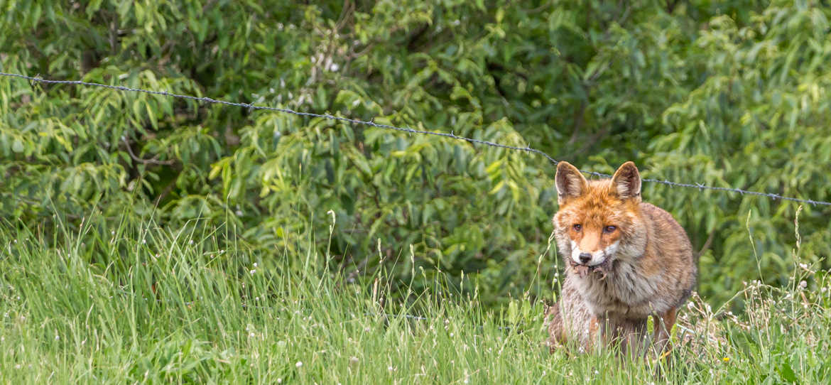 Retour de chasse