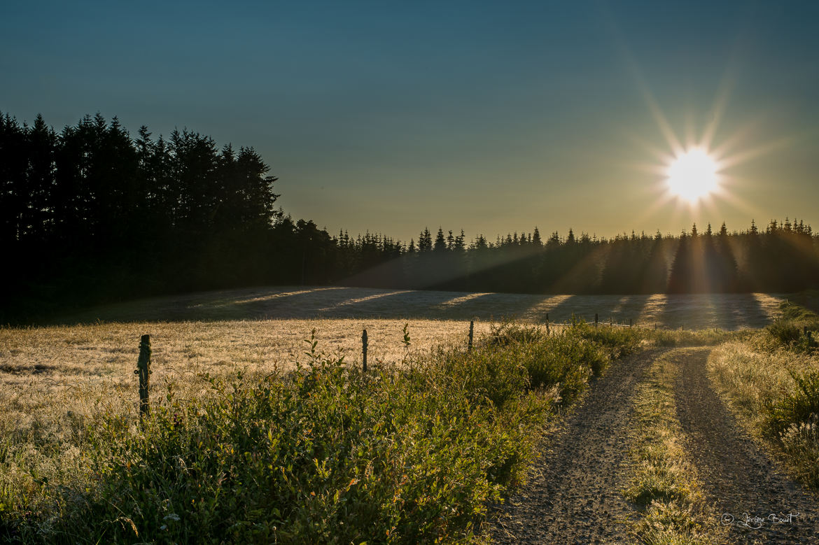 Premiers rayons matinaux