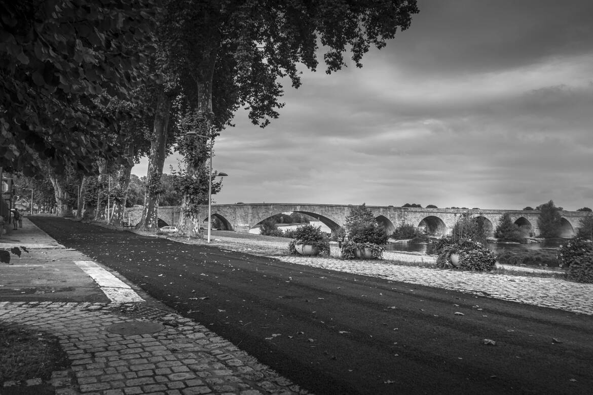 Le pont et les platanes