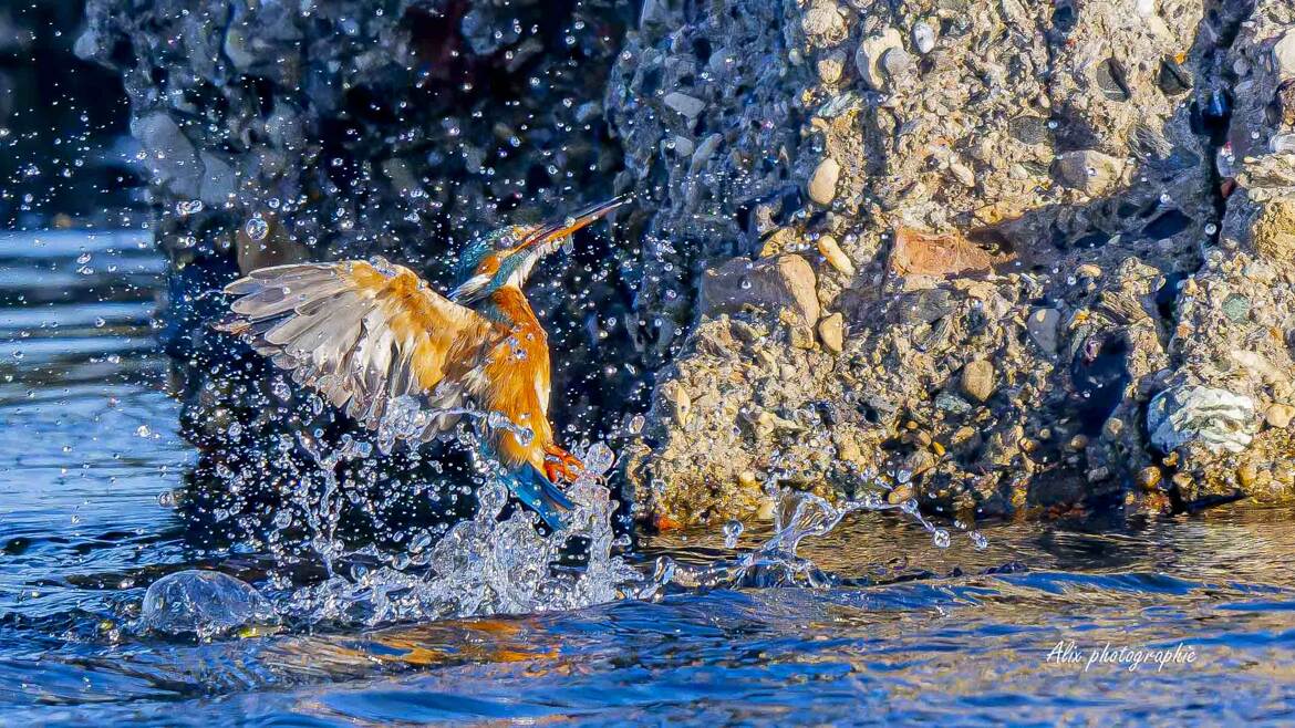 madame martin pêcheur