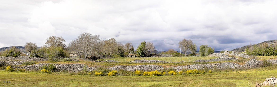 En promenant le chien