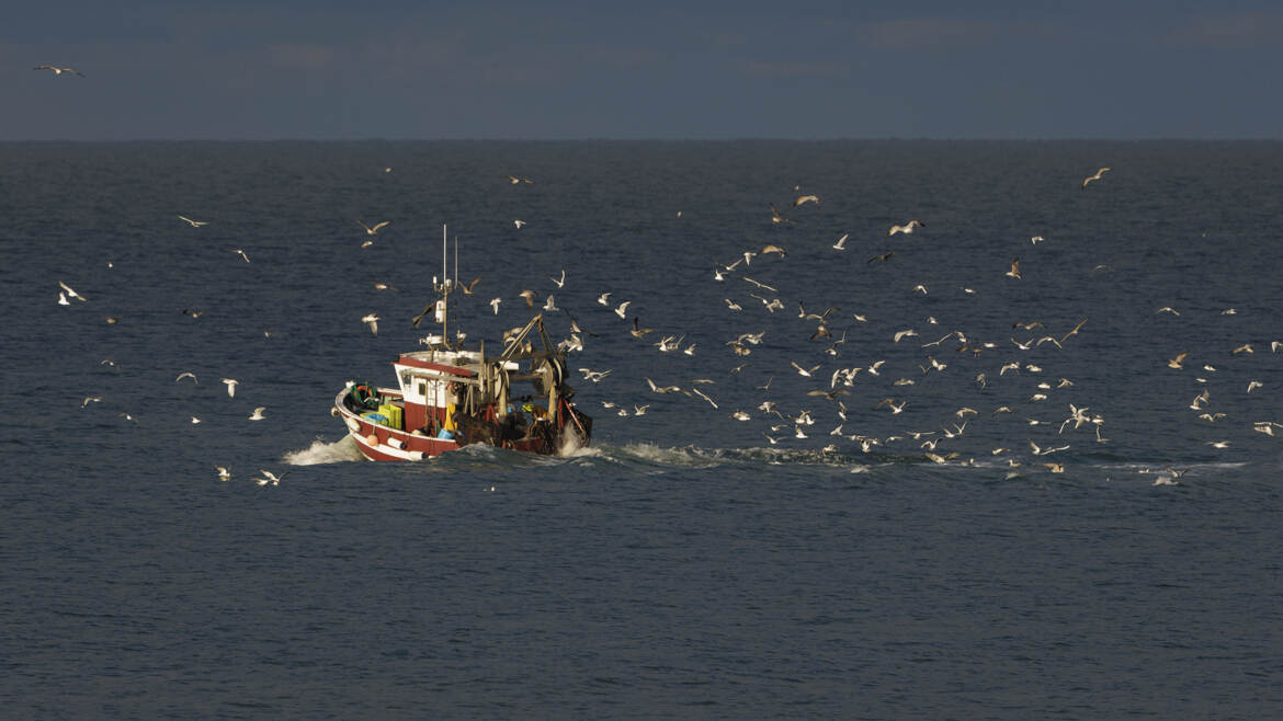 Comme un air de légèreté