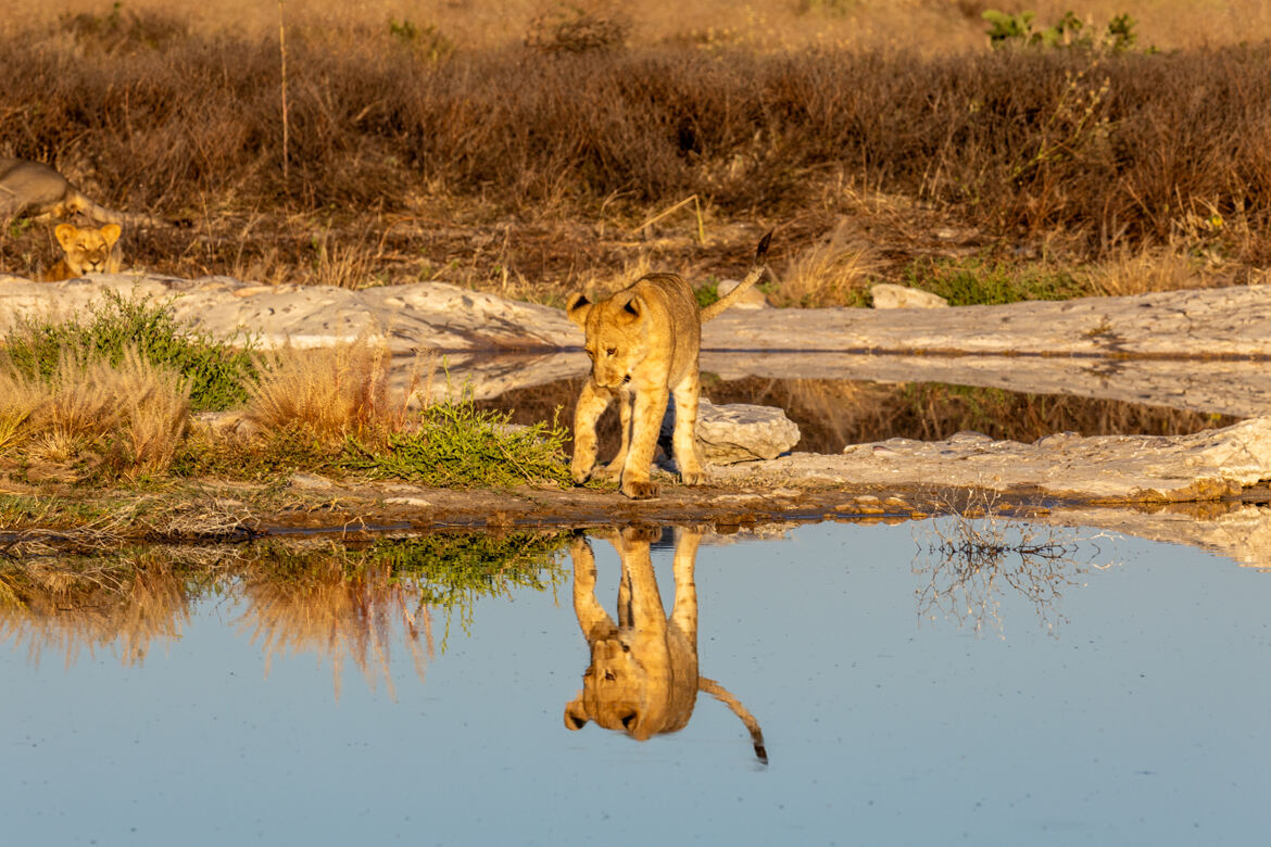 Suis-je le plus beau ?