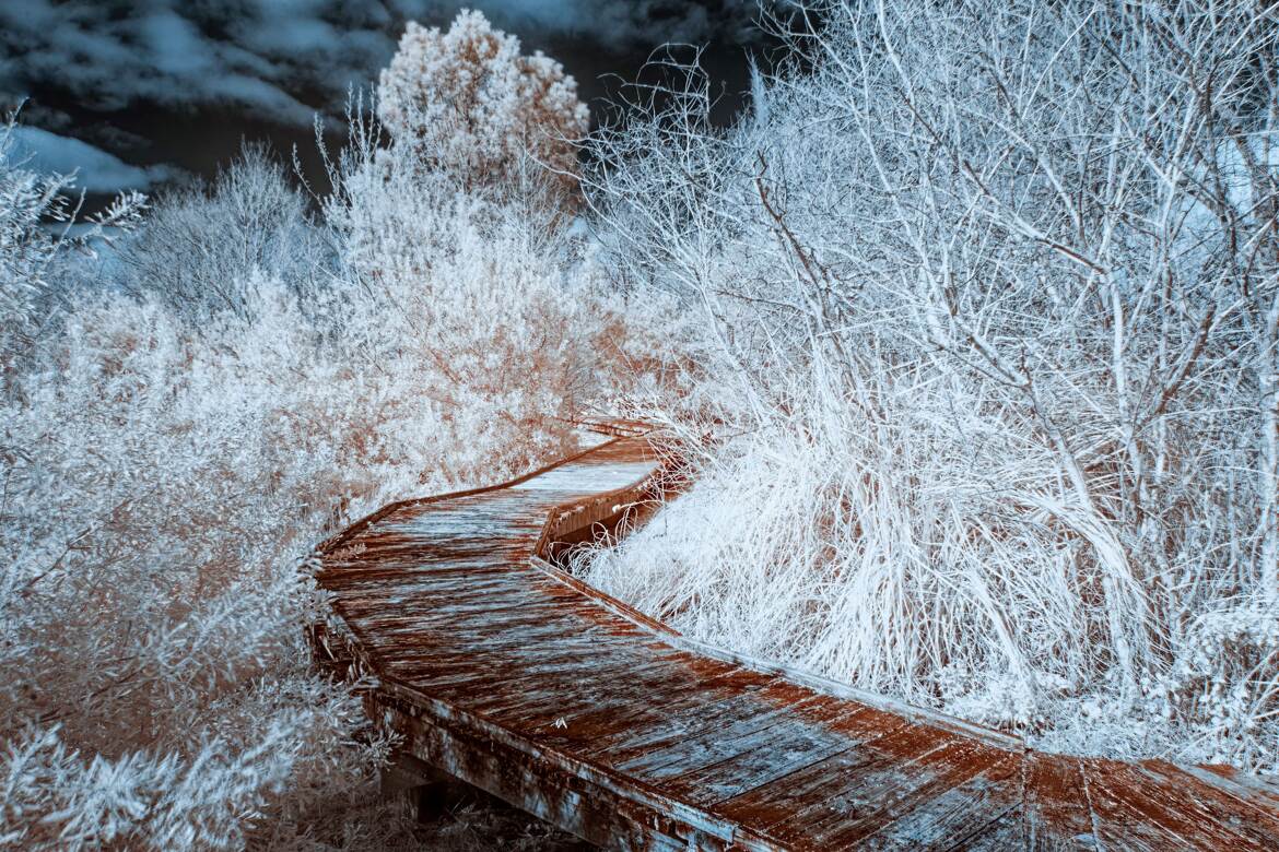 Le chemin de l'IR (1)