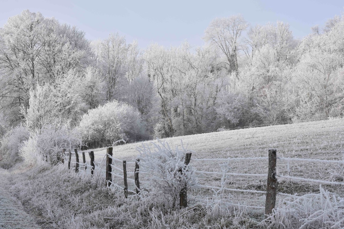 dans le haut Saintois
