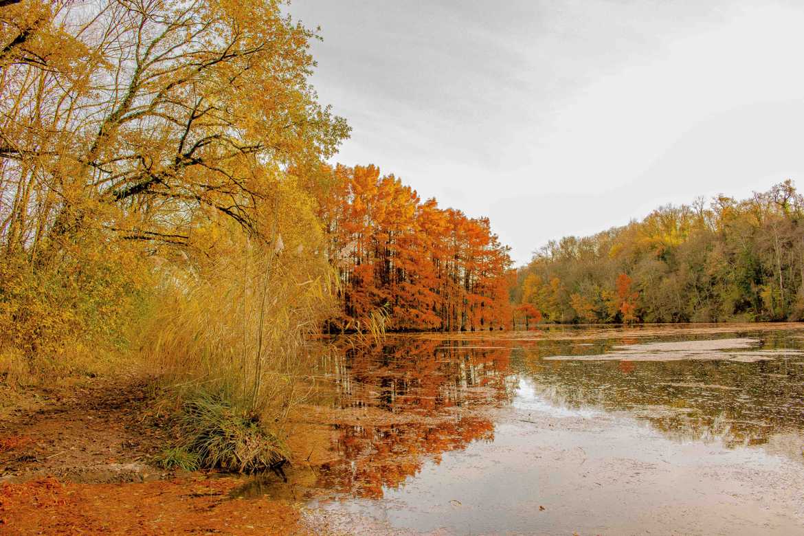 Couleurs et reflets d automne