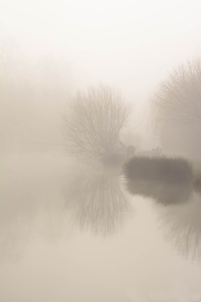 Brouillard matinal dense