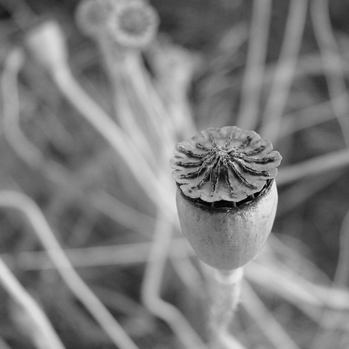 En toute simplicité.