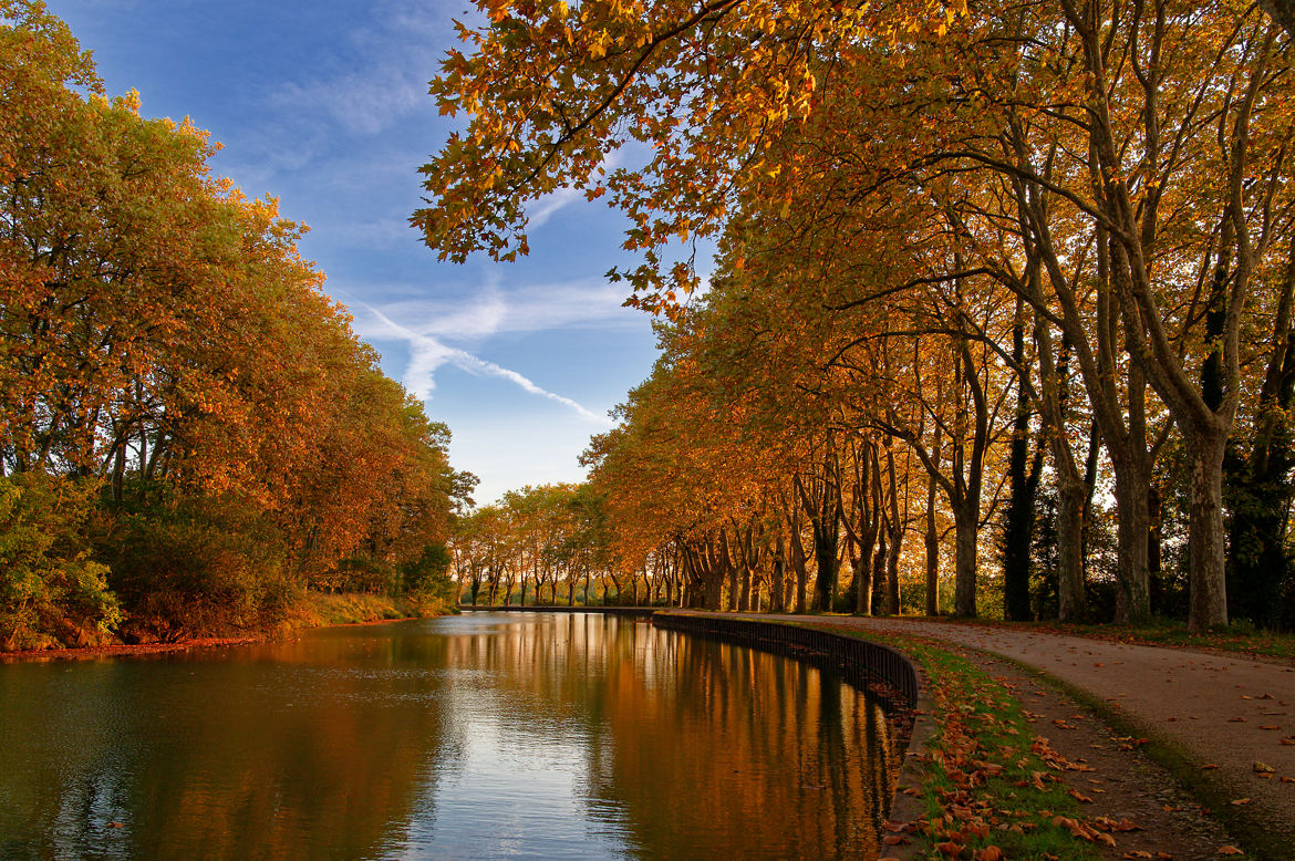 Les couleurs de l'automne sur le Canal du Midi