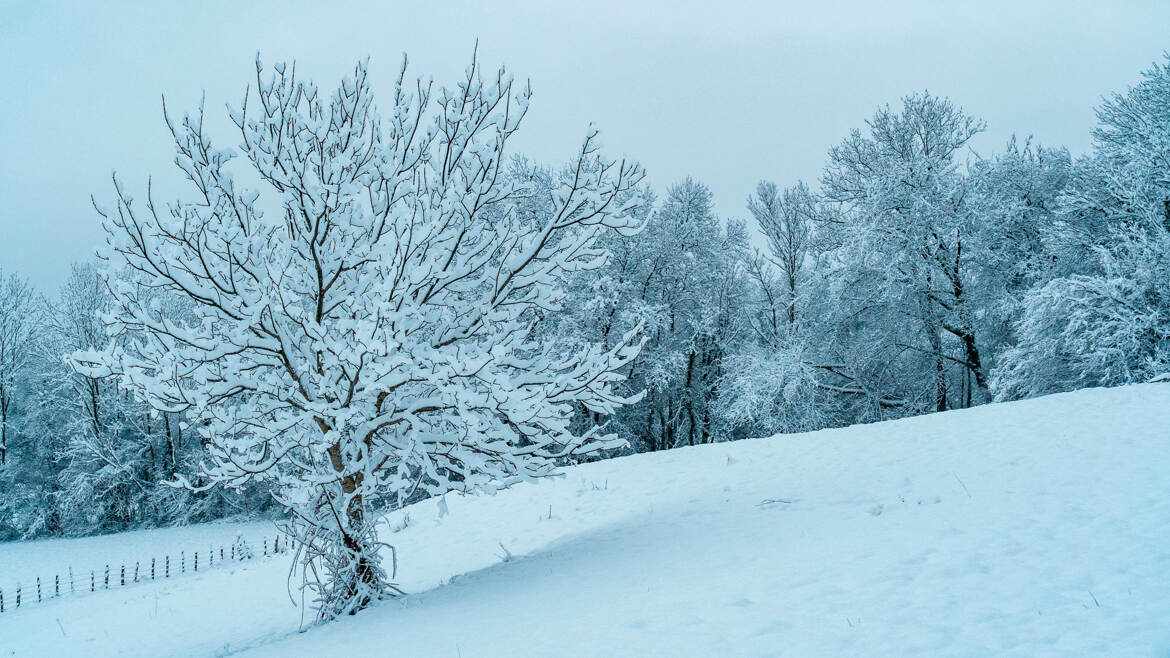 Bientôt le printemps !
