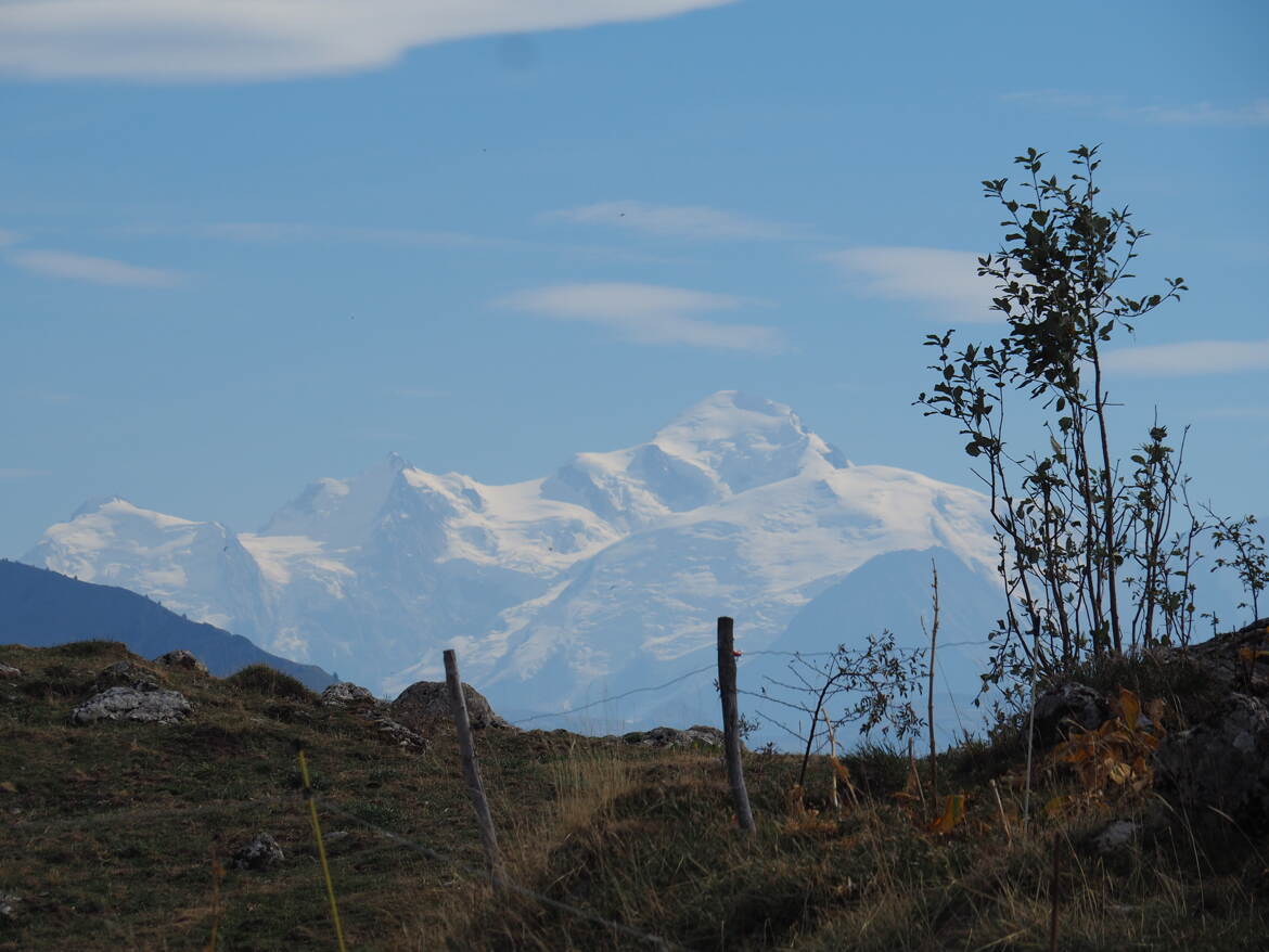 Sa Majestée