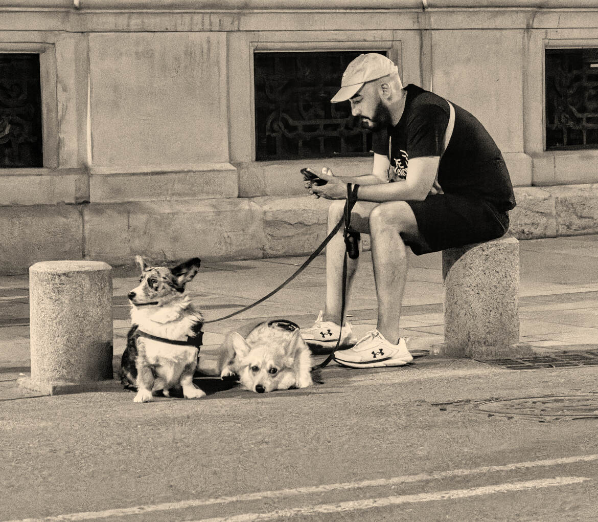 Promenade... Virtuelle