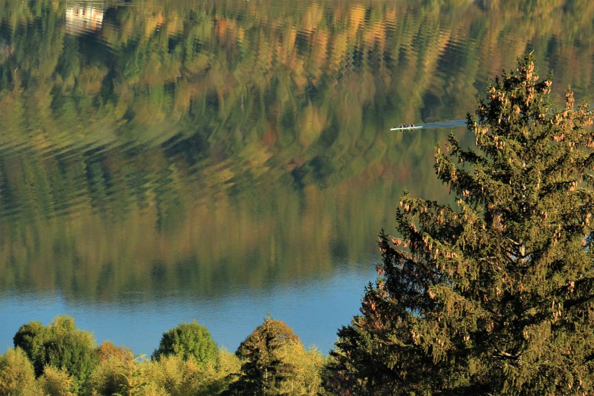 AVIRON SUR LE LAC DE PALADRU