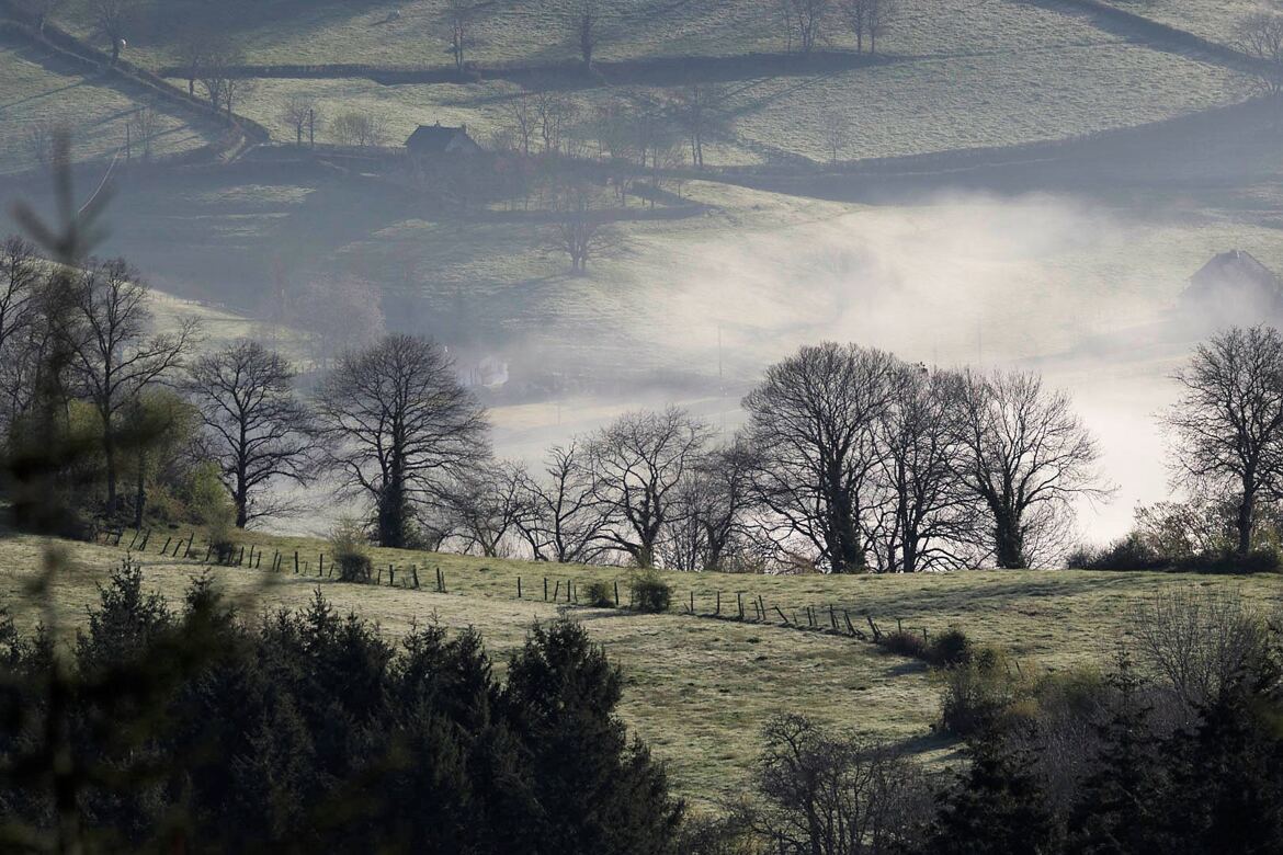 Lever de brume sur la campagne Brionnaise