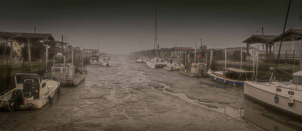 brouillard et marée basse