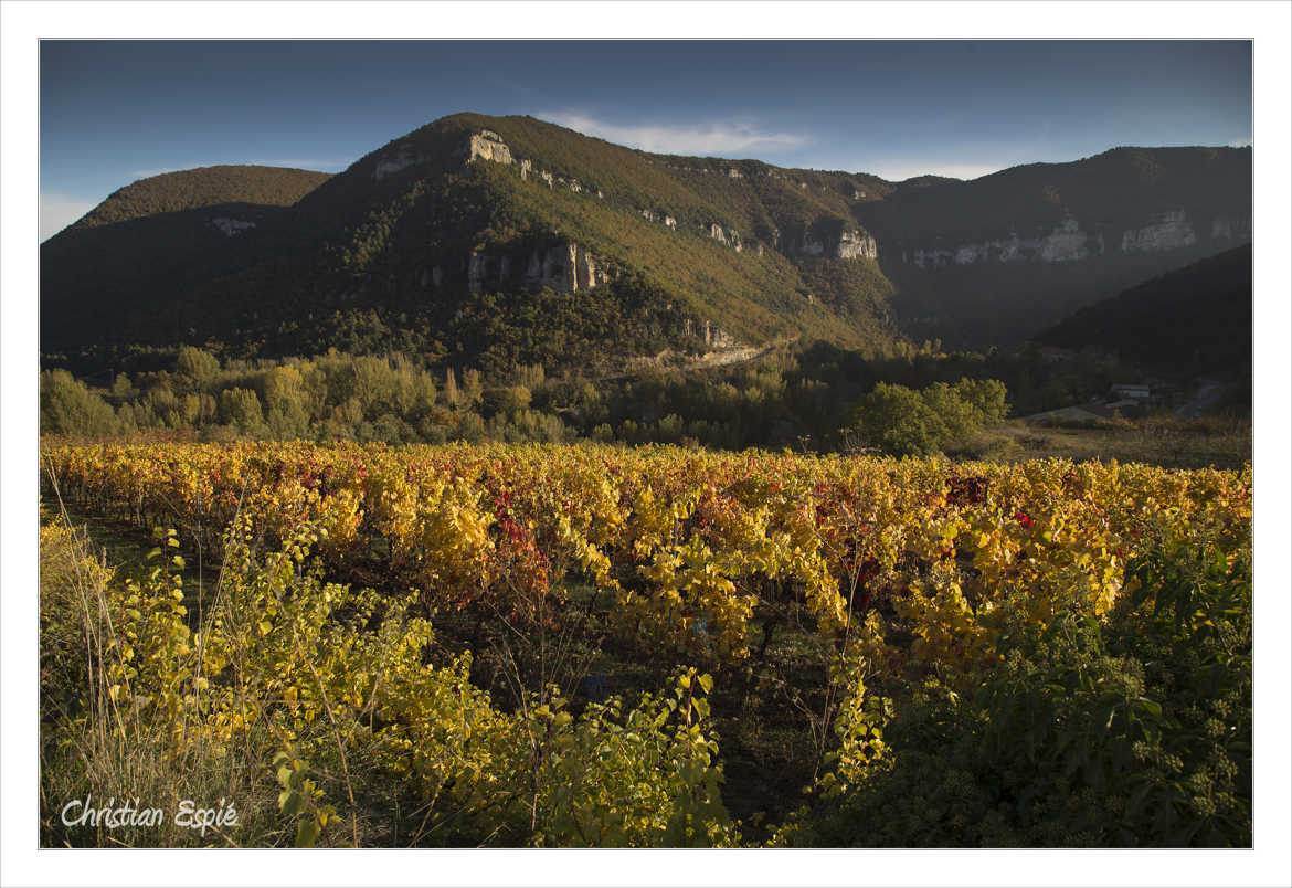 Automne dans les Gorges du Tarn