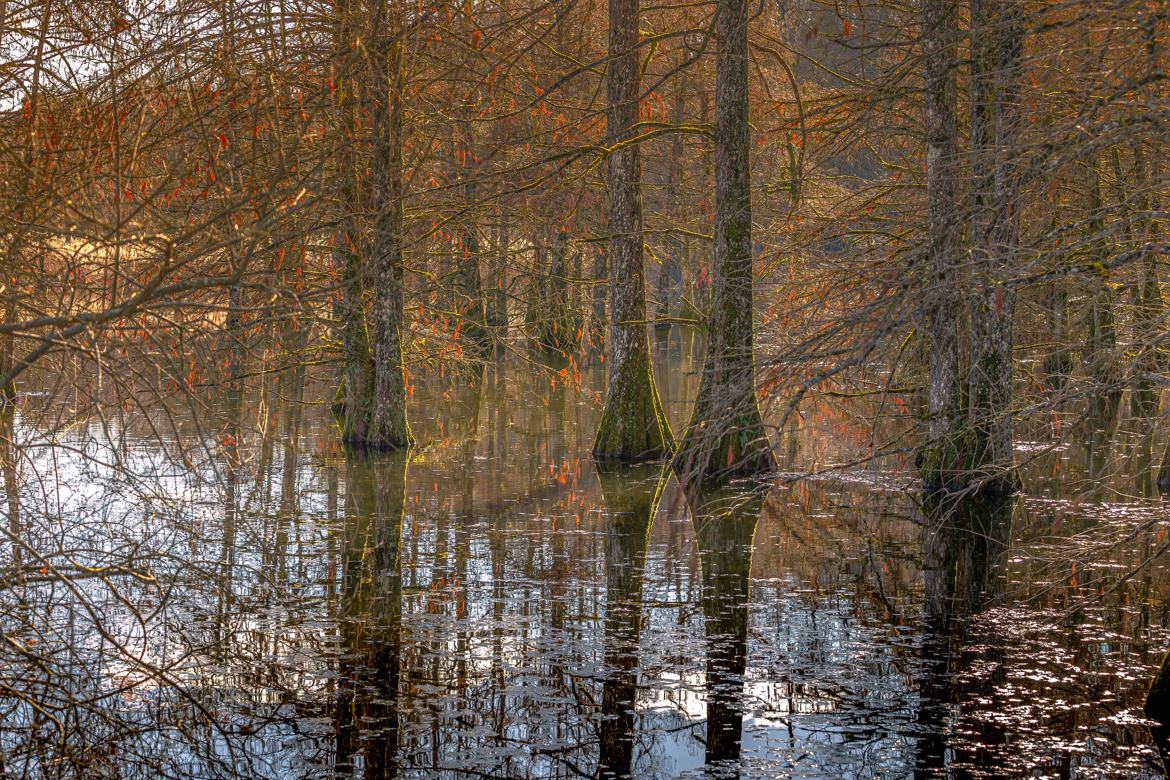 Reflet d hiver 2