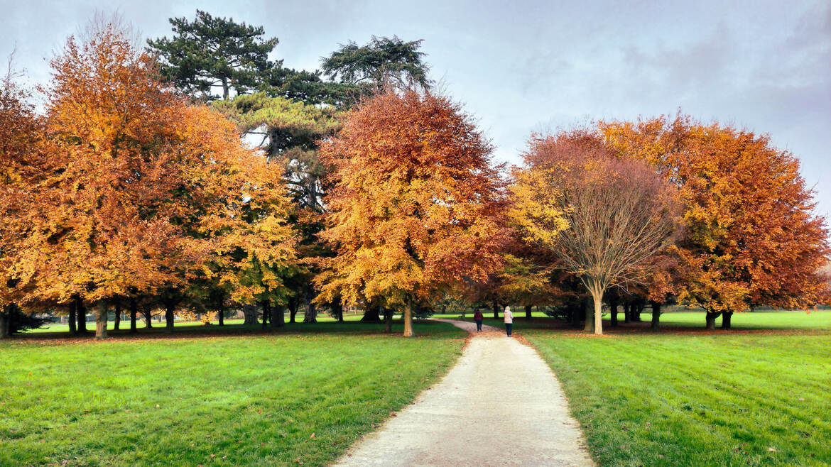 Automne au parc