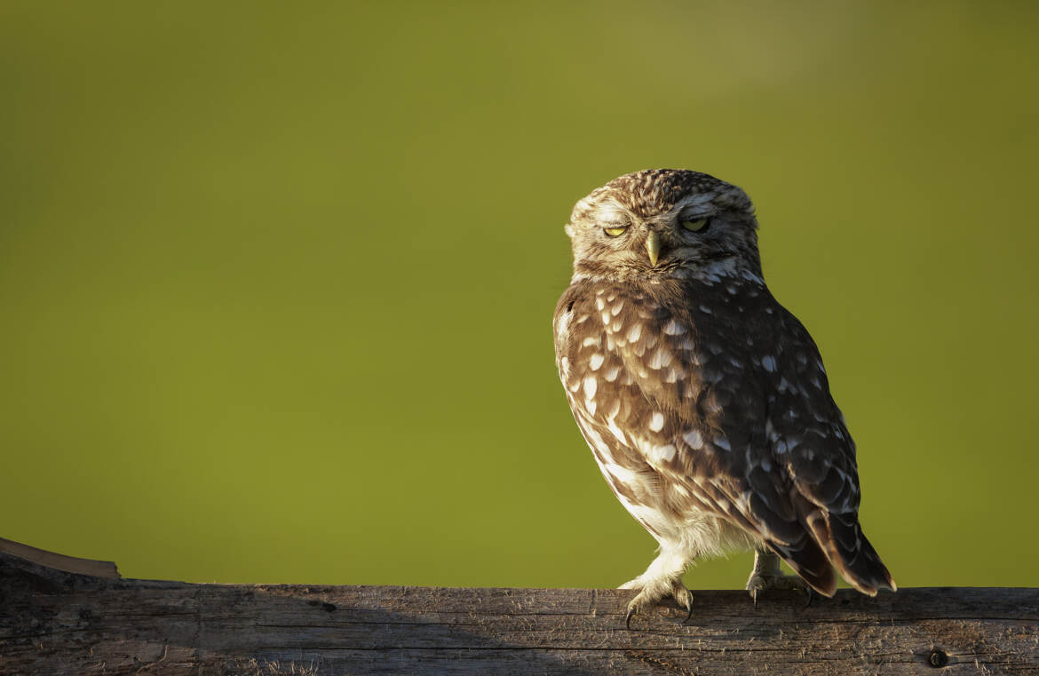Il y a des jours comme ça :-)