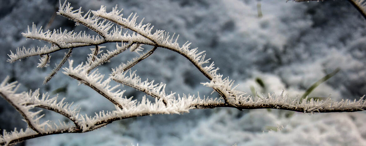 Une oeuvre hivernale 1