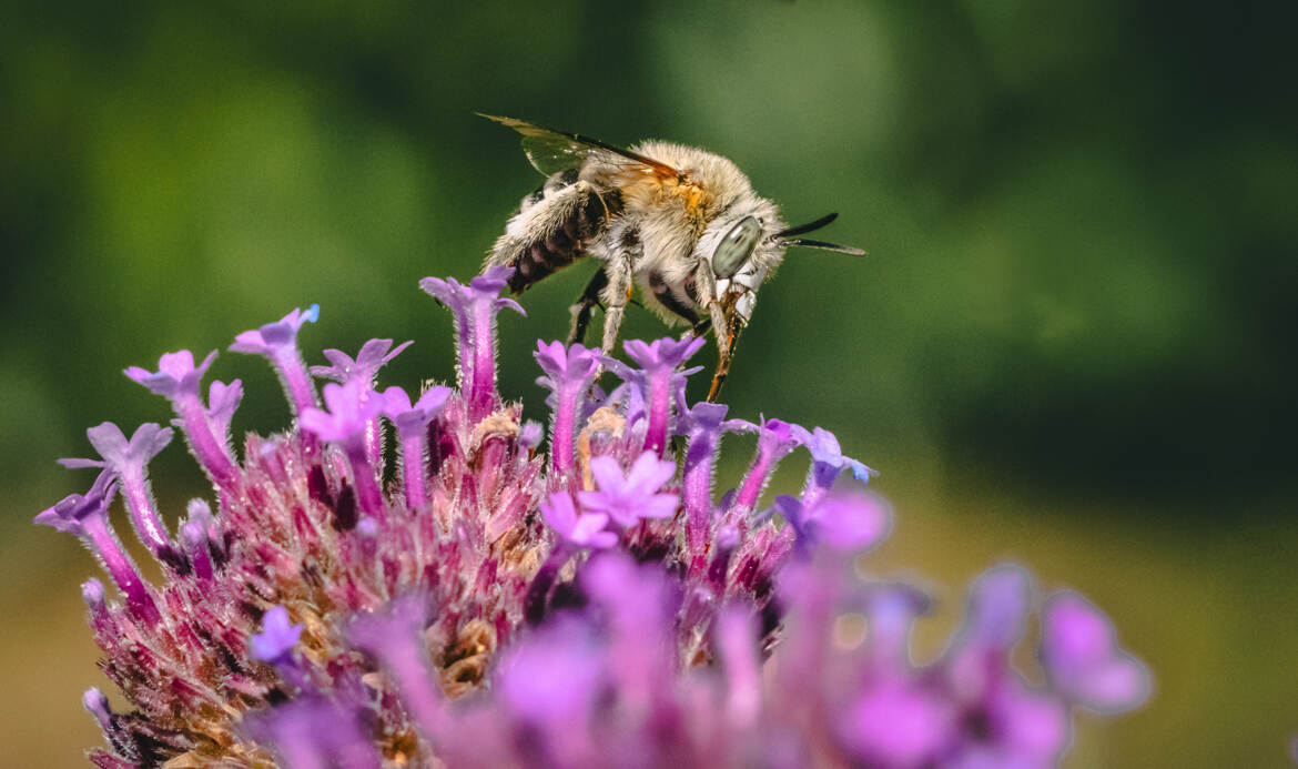 Je t'ai à l'oeil, toi !!