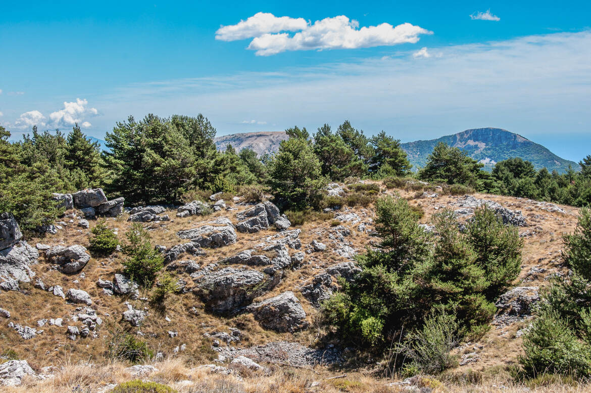 Plateau de Caussols 2