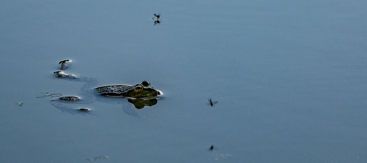 1ère leçon de natation eau laiteuse