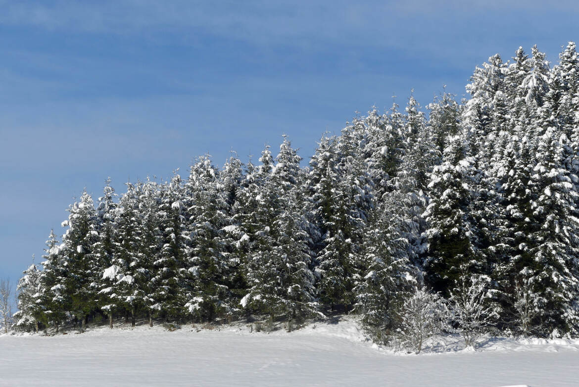 De ma fenêtre... (2)