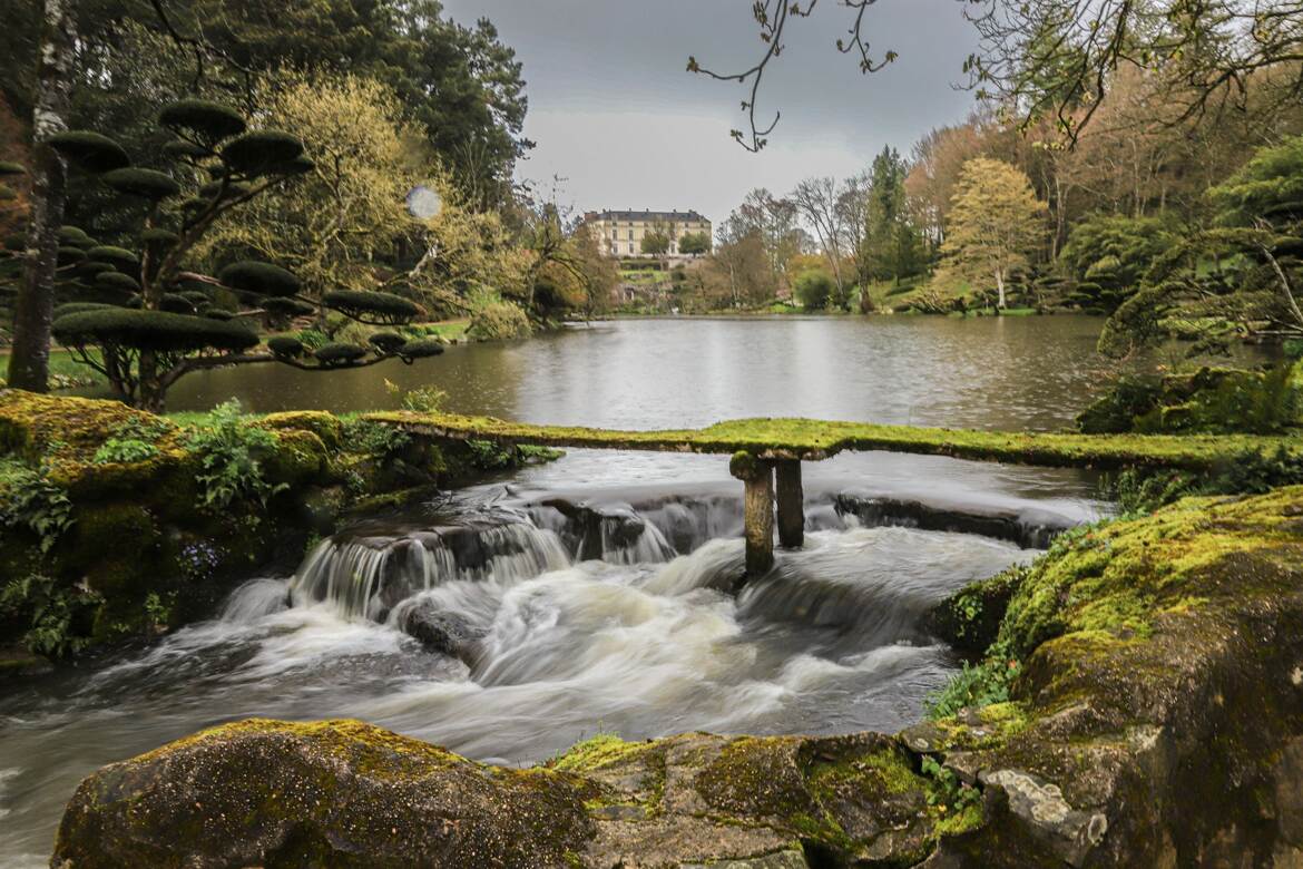 le petit pont de bois