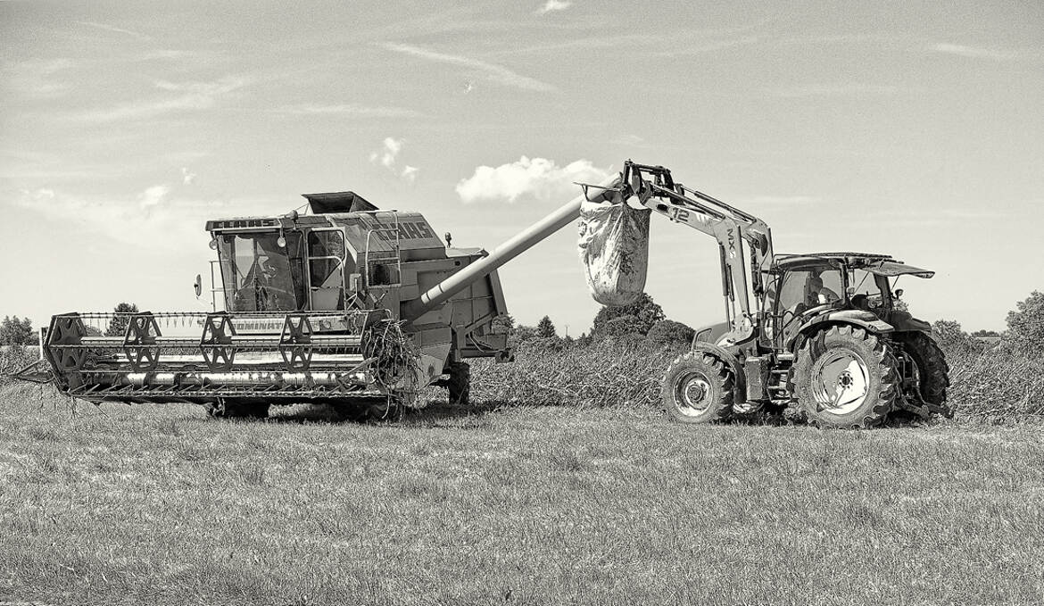 Le monde agricole