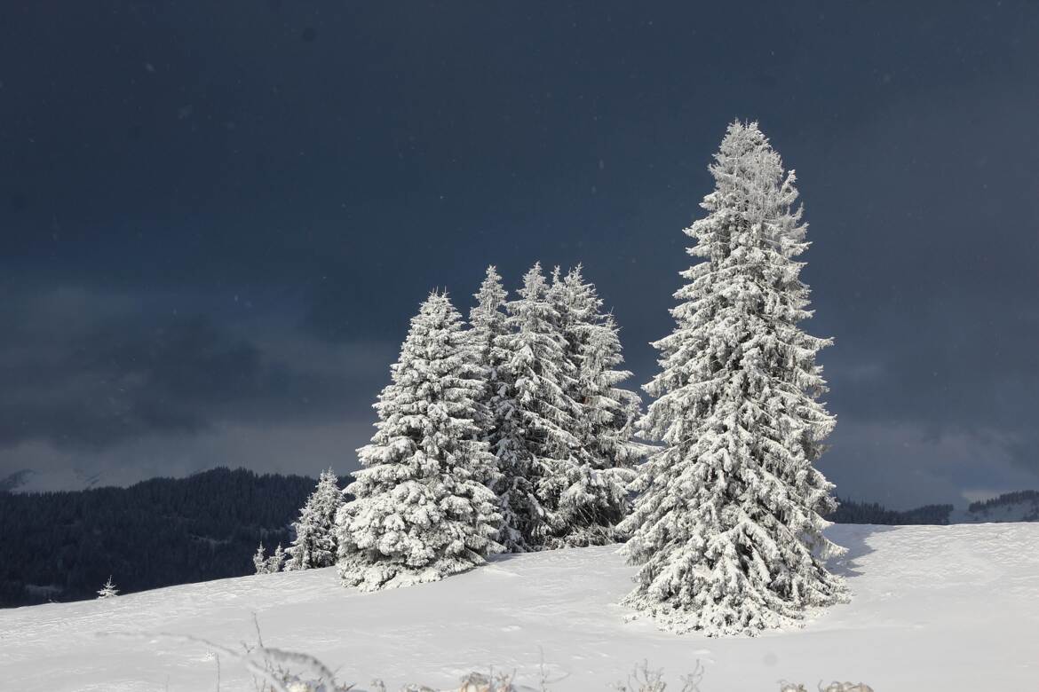 rayon de soleil avant la tempete