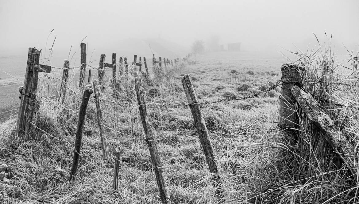 Givre du matin