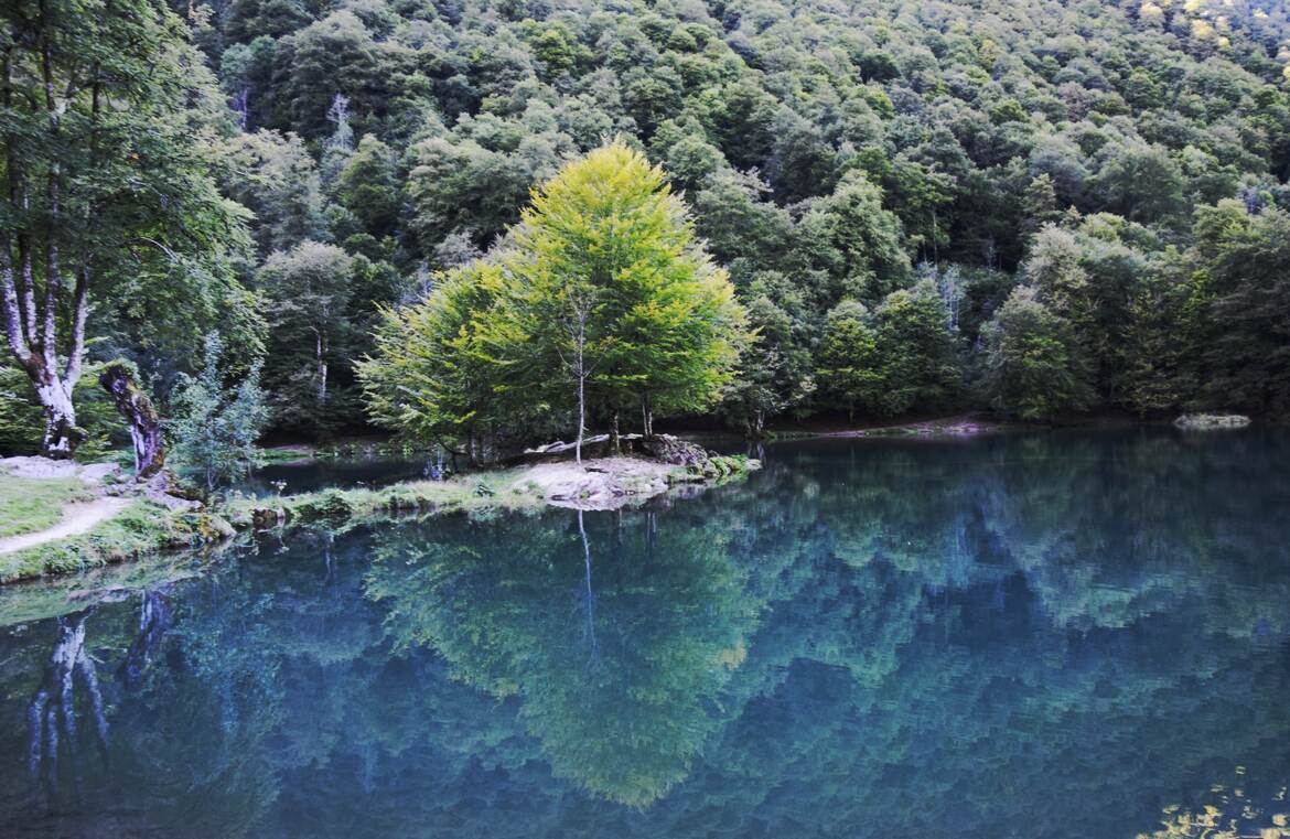 Un écrain de verdure